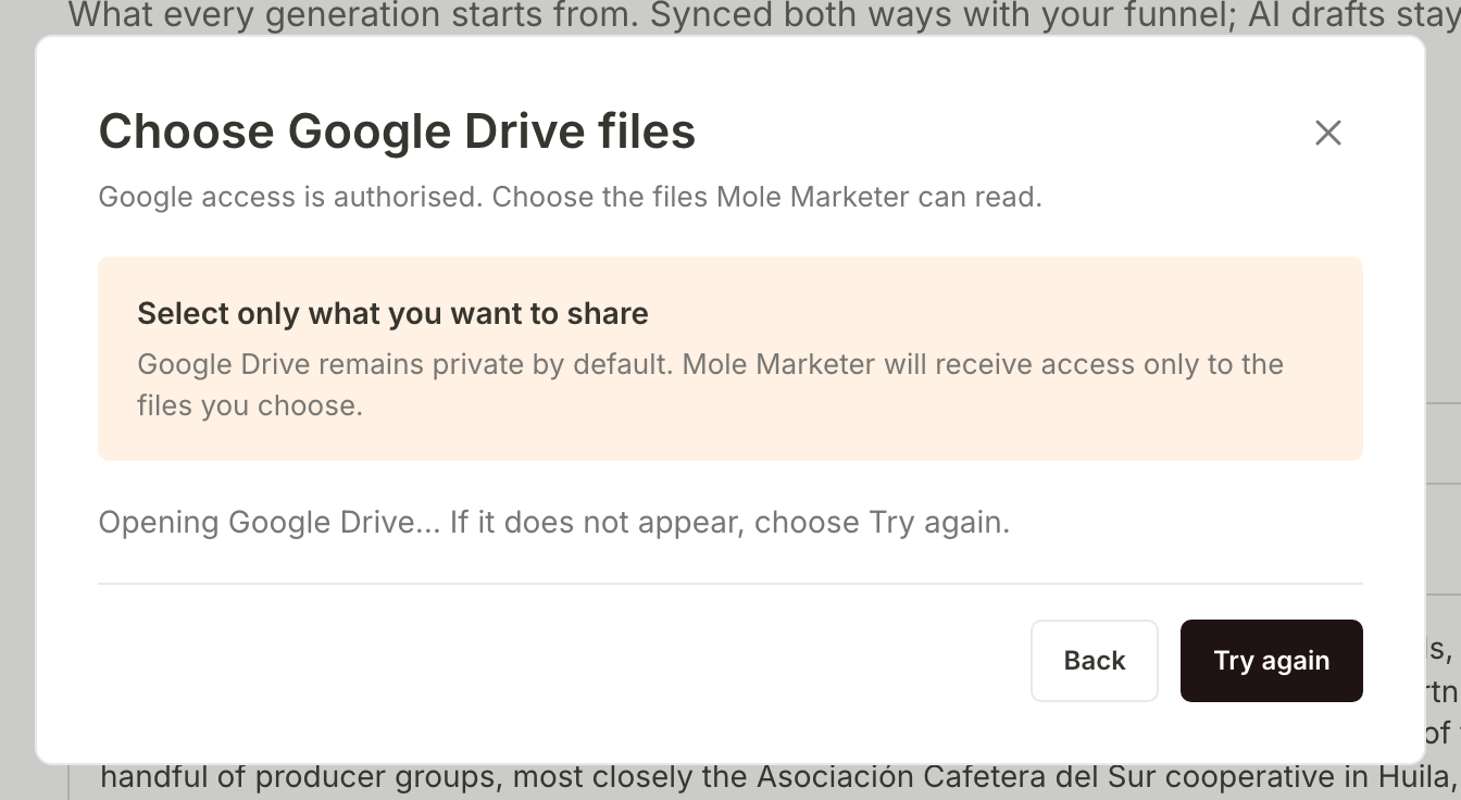 The Choose Google Drive files window: Google Drive stays private and Mole Marketer only reads the files you pick