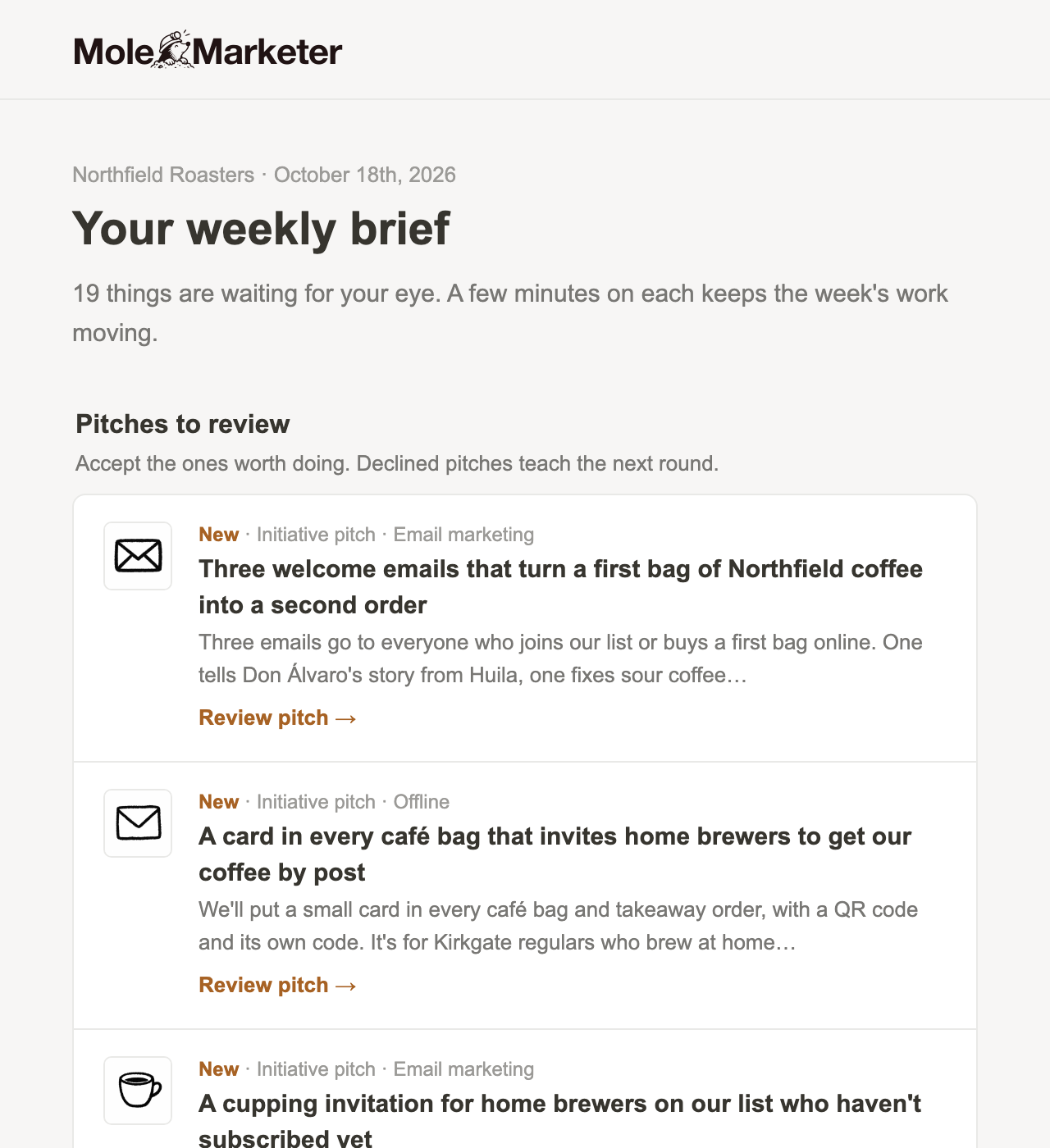 The weekly brief email for Northfield Roasters, opening on the initiative pitches waiting for review