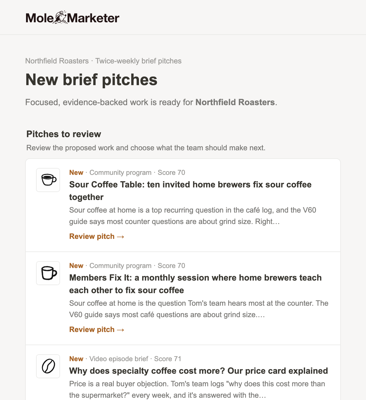 The New brief pitches email for Northfield Roasters: each pitch with its format, score, a short reason and a Review pitch link
